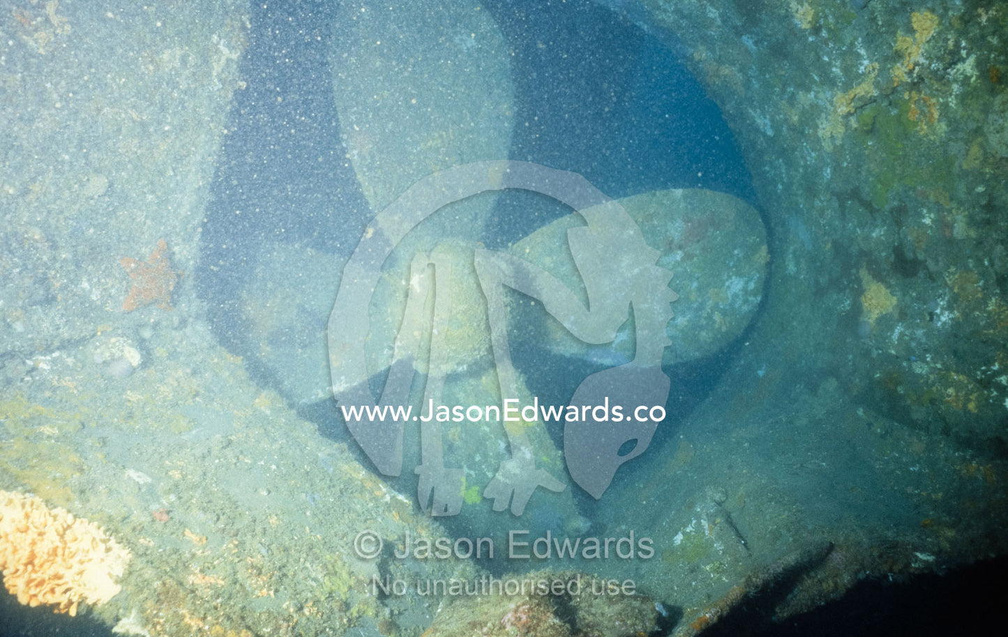 A propeller from the sunken wreck of the Tasman Hauler. Twofold Bay, Eden, New South Wales, Australia.