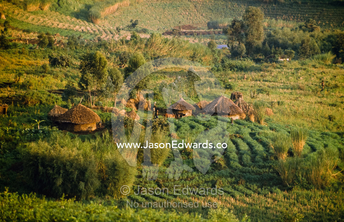 A traditional farming village and surrounding plowed fields. Zaire, Democratic Republic of the Congo, Africa.