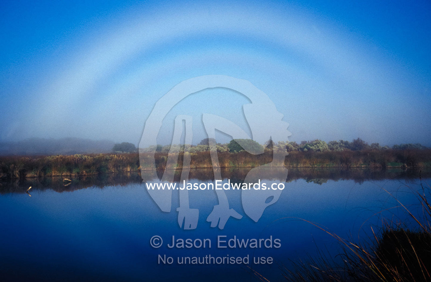 A fogbow is a fog rainbow, here formed over a wetland lagoon at dawn. Coorong National Park, South Australia.