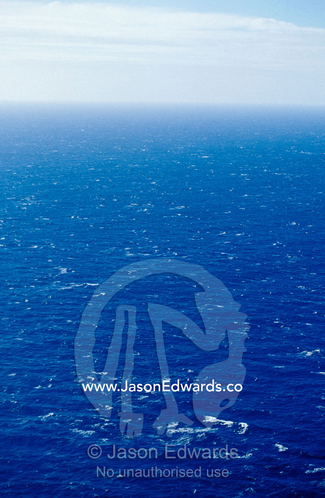 Wind creates white-capped waves sprinkled across a vast blue ocean. Bass Strait, Victoria, Australia.