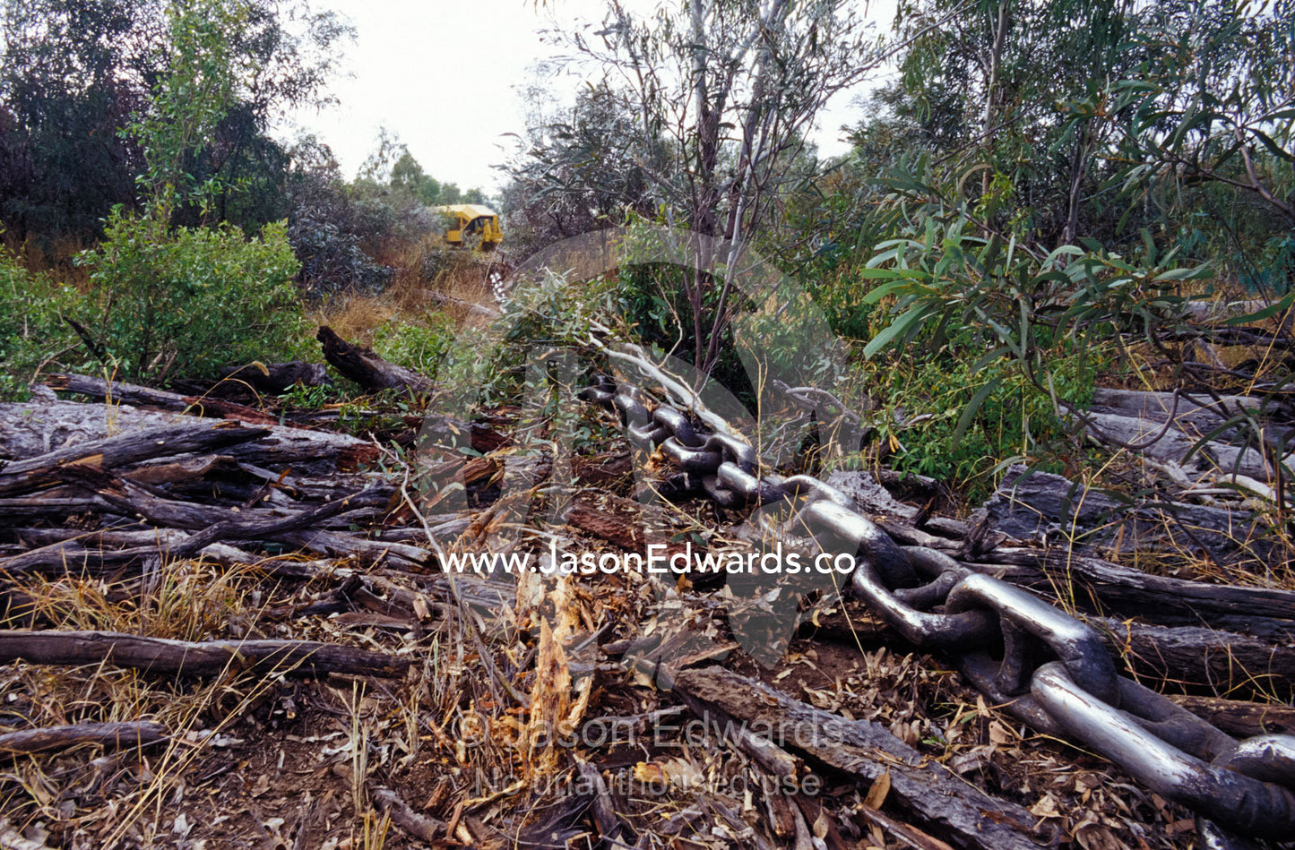 A steel chain landclears trees and foliage for agricultural farmland. Epping Forest Station, Queensland, Australia.