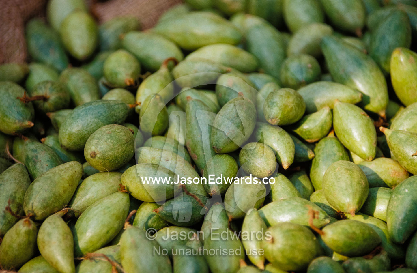 An enticing display of figs at a fruit market in Varanassi's Old City. Varanassi, India.