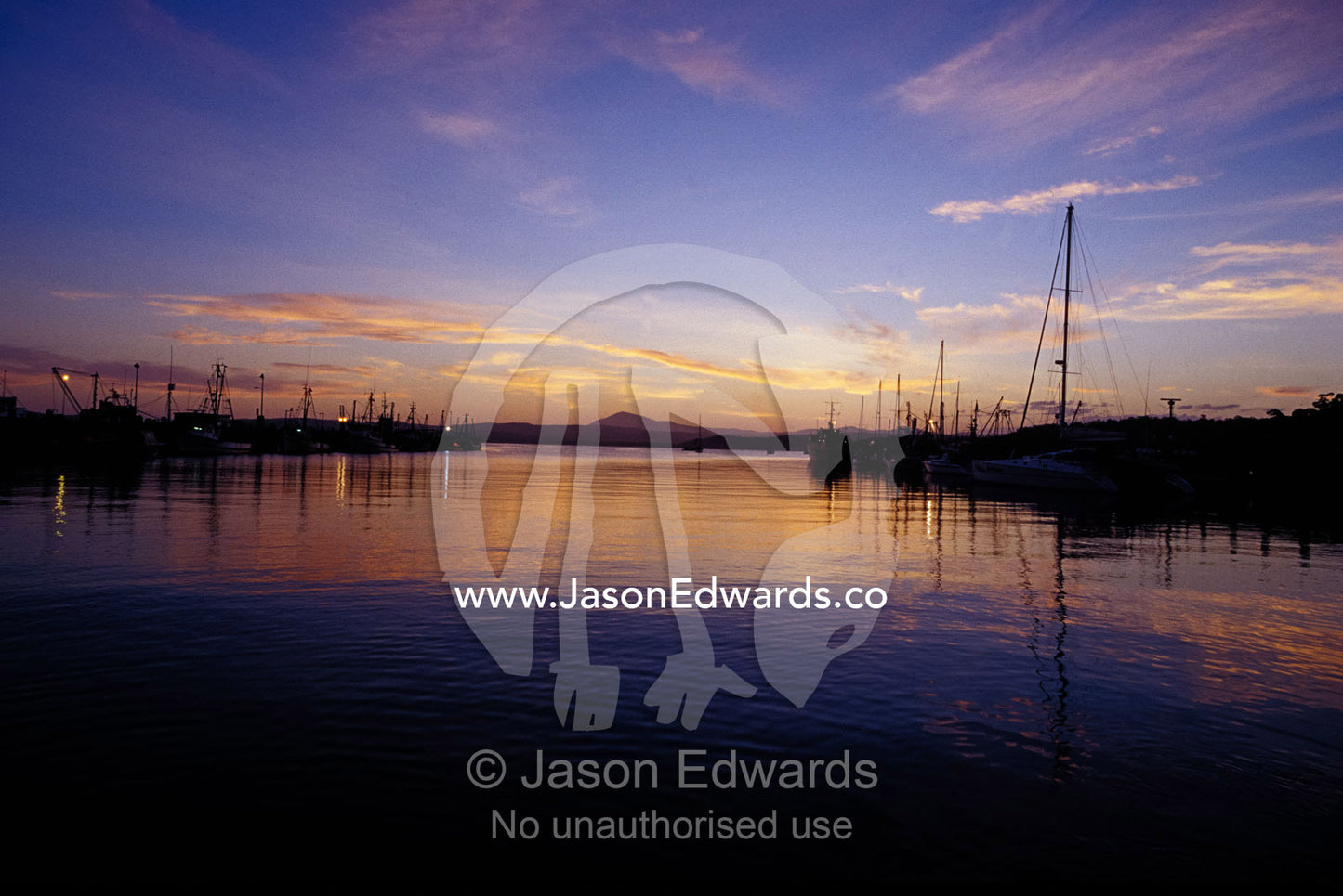 Fishing boats and Yachts safely moored in the Mariner at sunset. Eden, New South Wales, Australia.