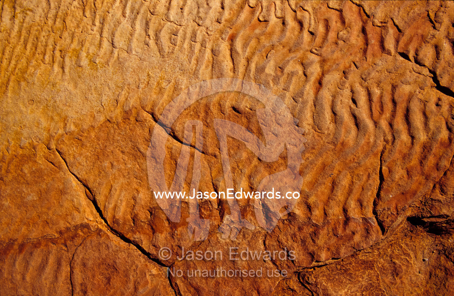Fossilised water ripples in sandstone, from an ancient inland sea. Watarrka National Park, Northern Territory, Australia.