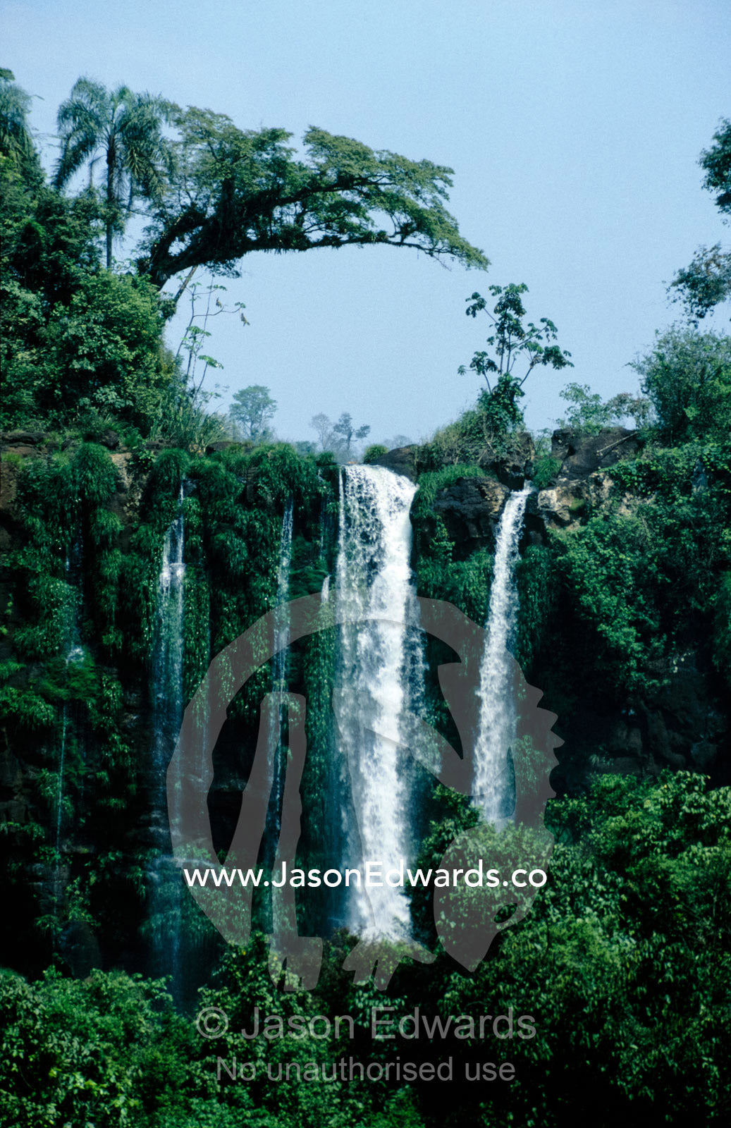 A beautiful waterfall surrounded by pristine subtropical rainforest. Iguazo Falls, Argentina.