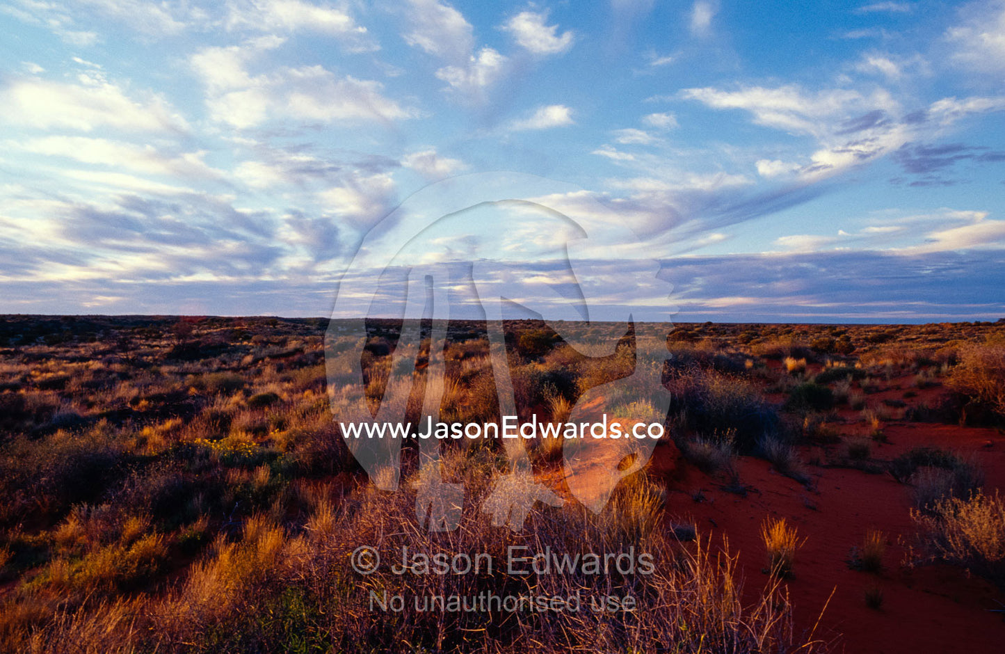A vast sky and Spinifex Grass desert habitat at sunset. Simpson Desert Conservation Park, South Australia.