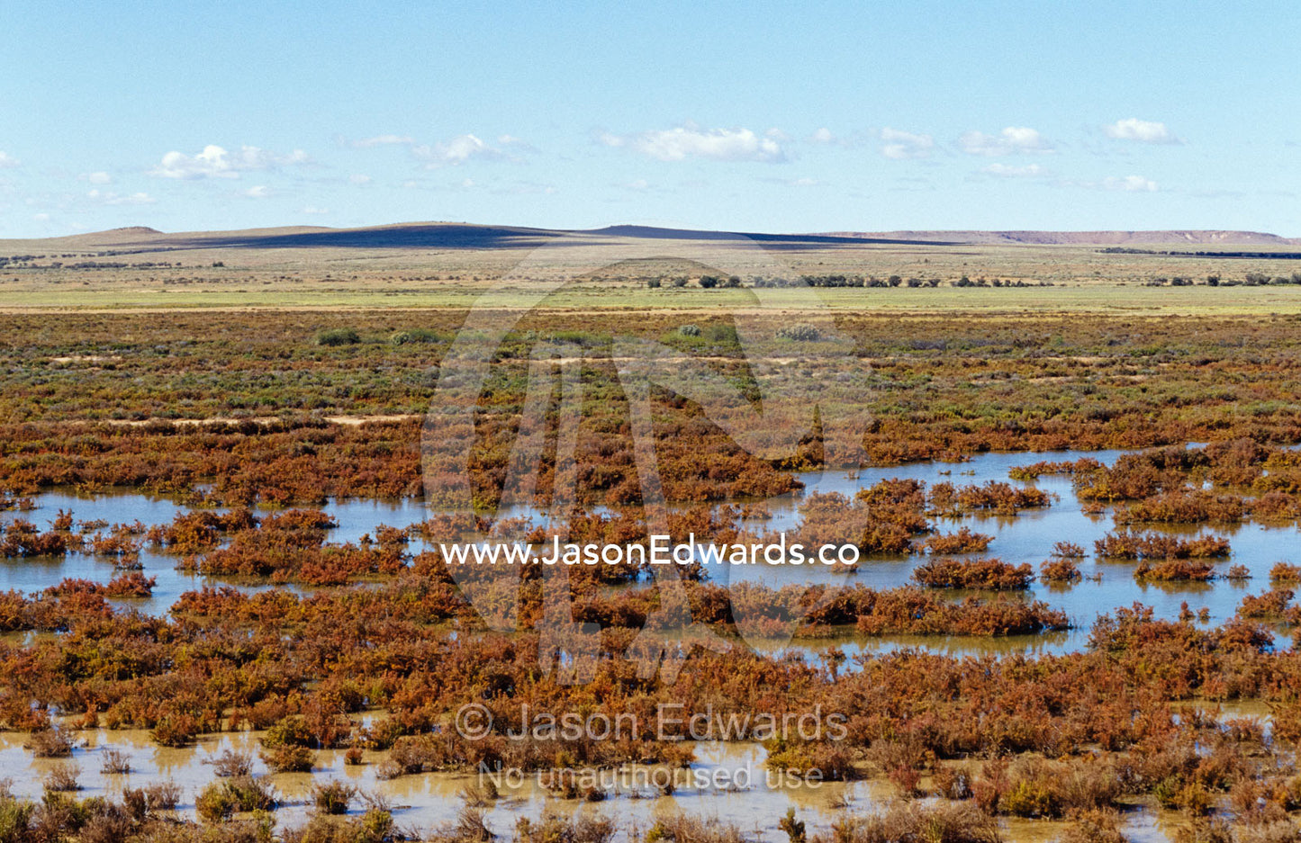 A Salt Bush plain covered in flood waters from desert rainstorms. Simpson Desert, South Australia, Witjira National Park.