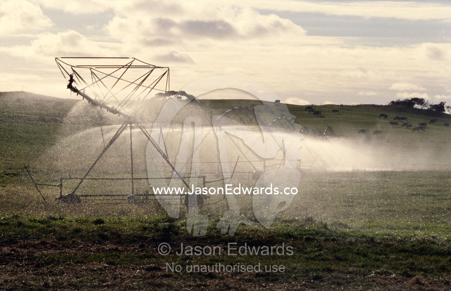 An irrigation sprinkler waters an agricultural crop. Near Meringie, South Australia.