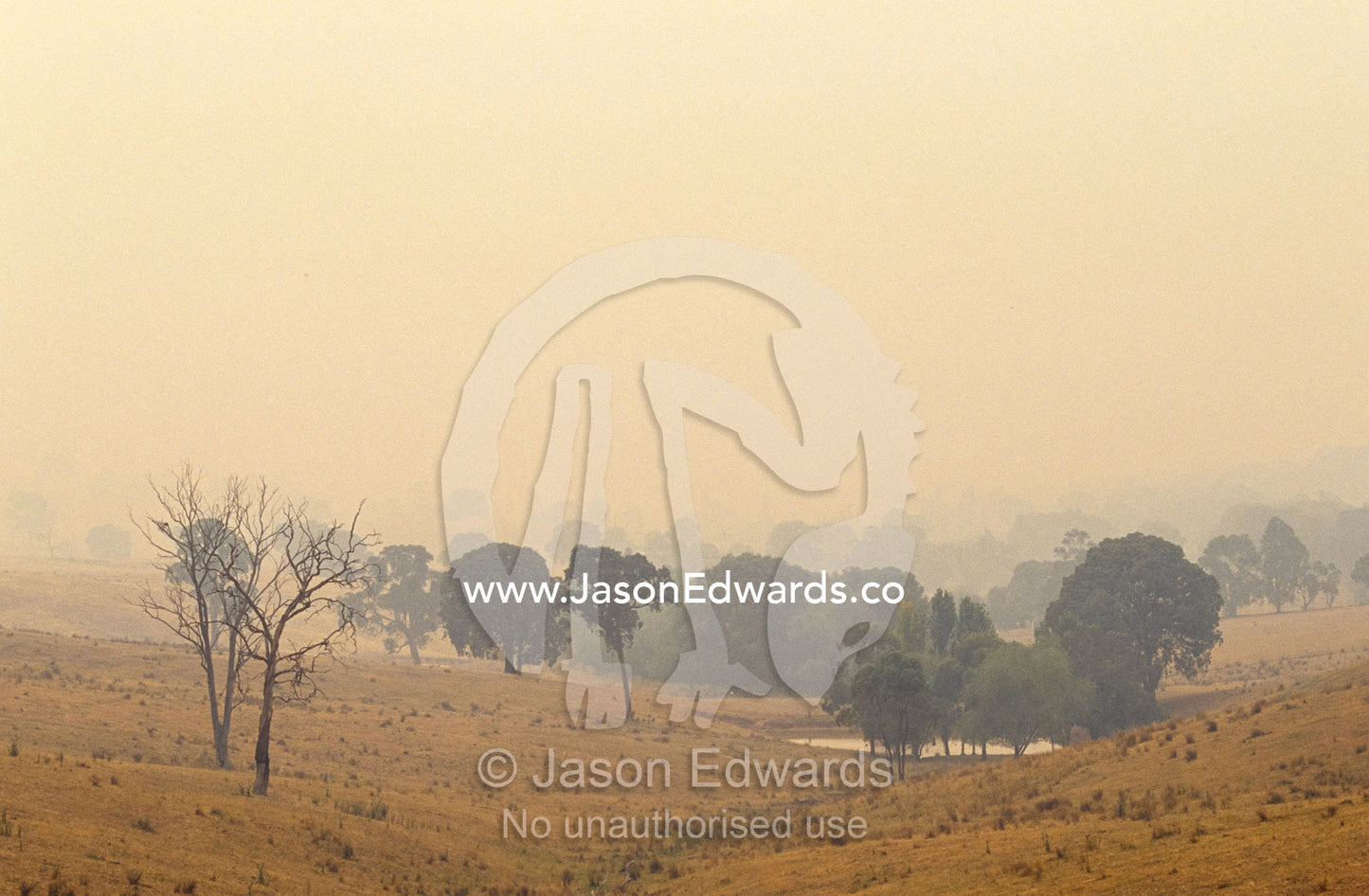 Farmland shrouded in the haze of summer wildfire smoke. Howqua Valley, Victoria, Australia.