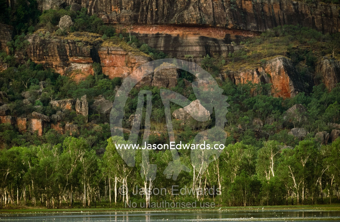 Egrets on a billabong lagoon beneath an ancient rock escarpment. Kakadu National Park, Northern Territory, Australia.