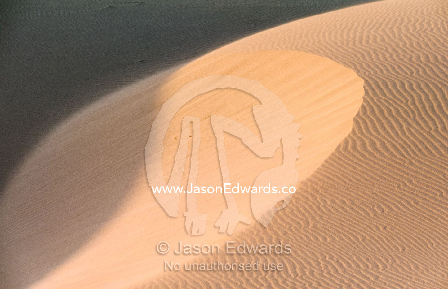 Sunset afterglow on the crest of a rippled sand dune. Eucla, Western Australia.