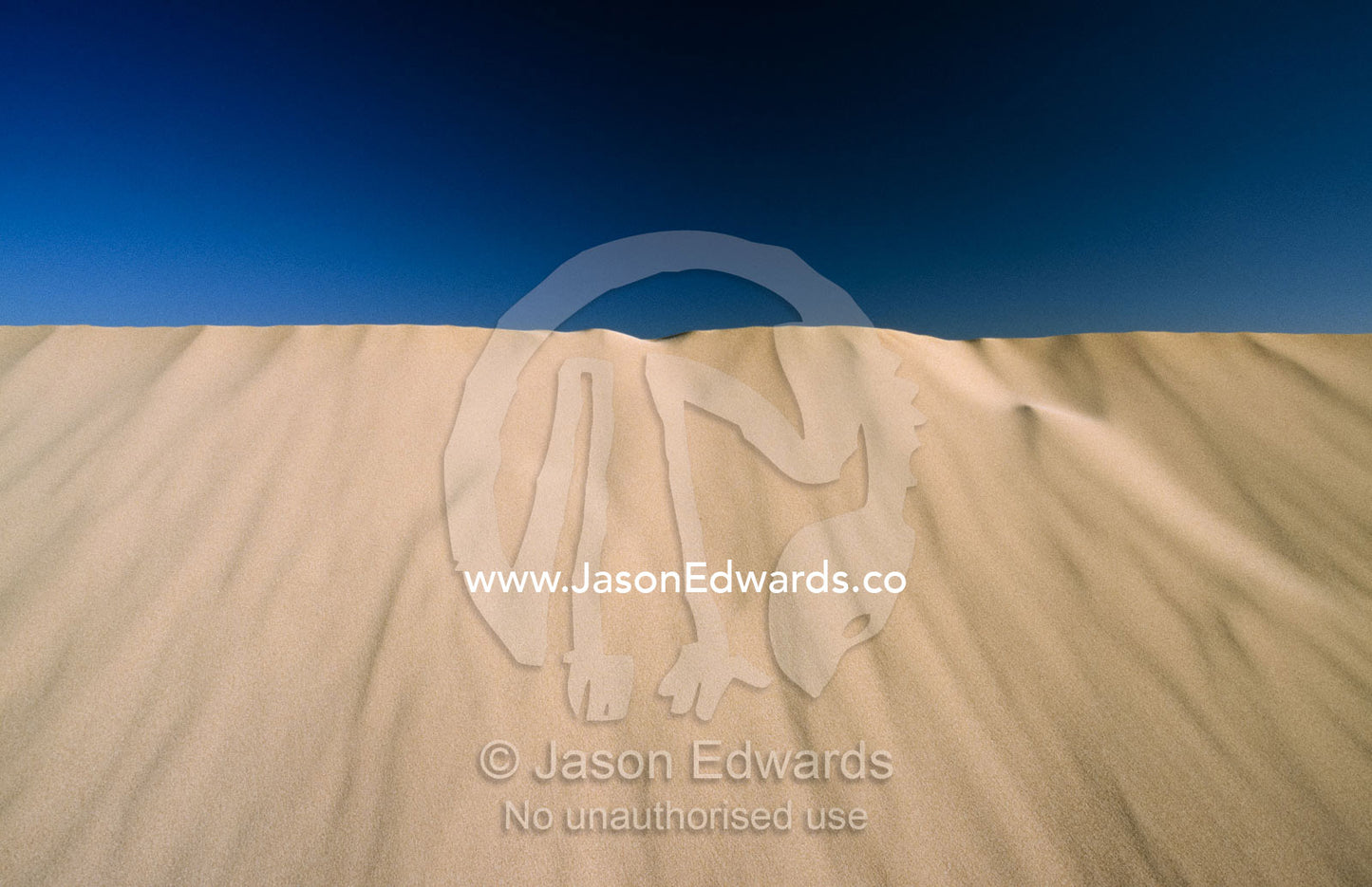 A huge wind formed sand dune against a blue sky. Little Sahara, Kangaroo Island, South Australia.