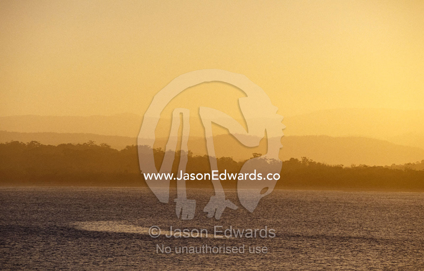 Sunset descends over a coastal forest and tranquil ocean bay. Merimbula, New South Wales, Australia.