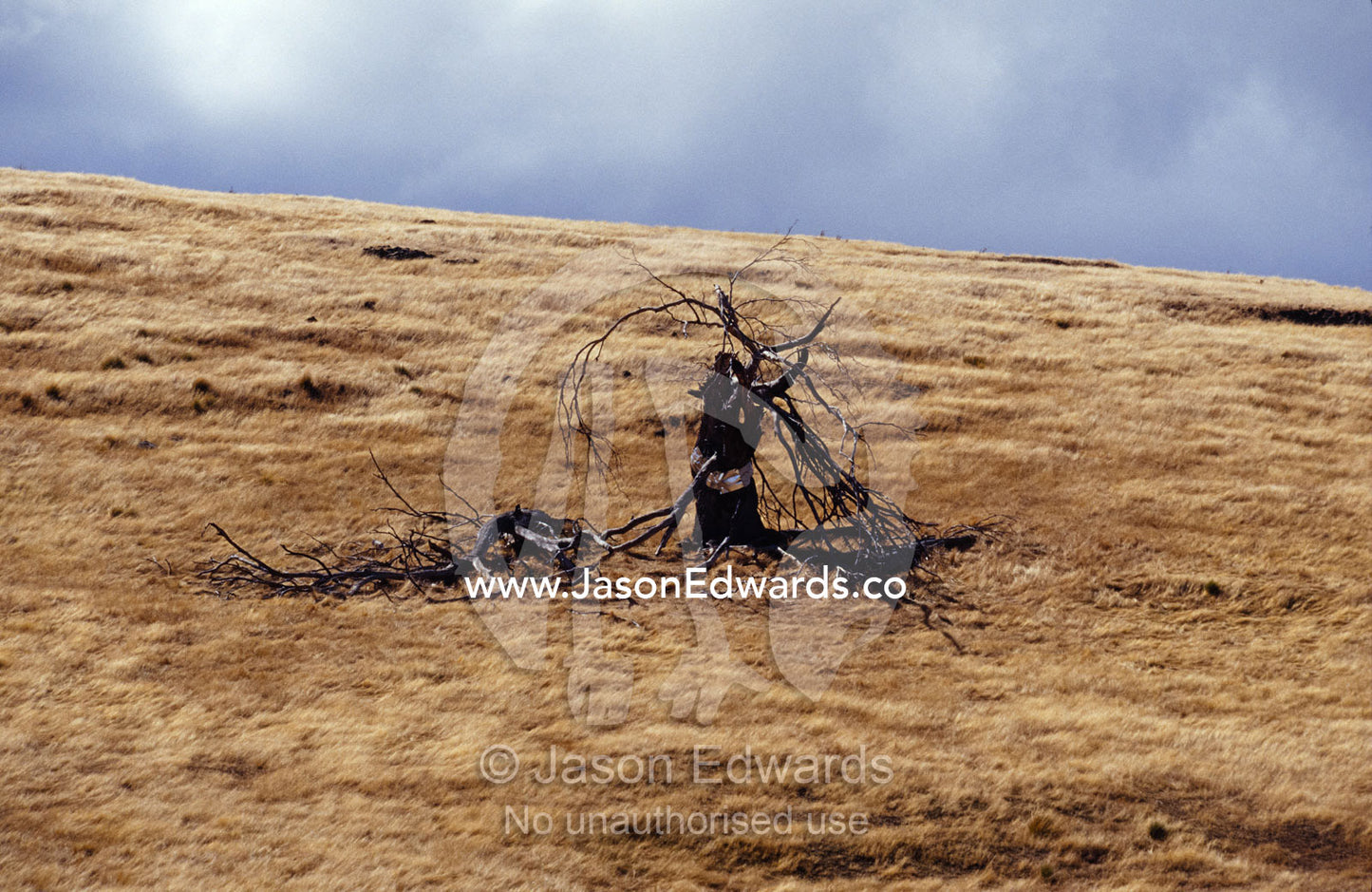 Farmland destroyed by drought, over grazing and erosion. Central Tasmania, Australia.