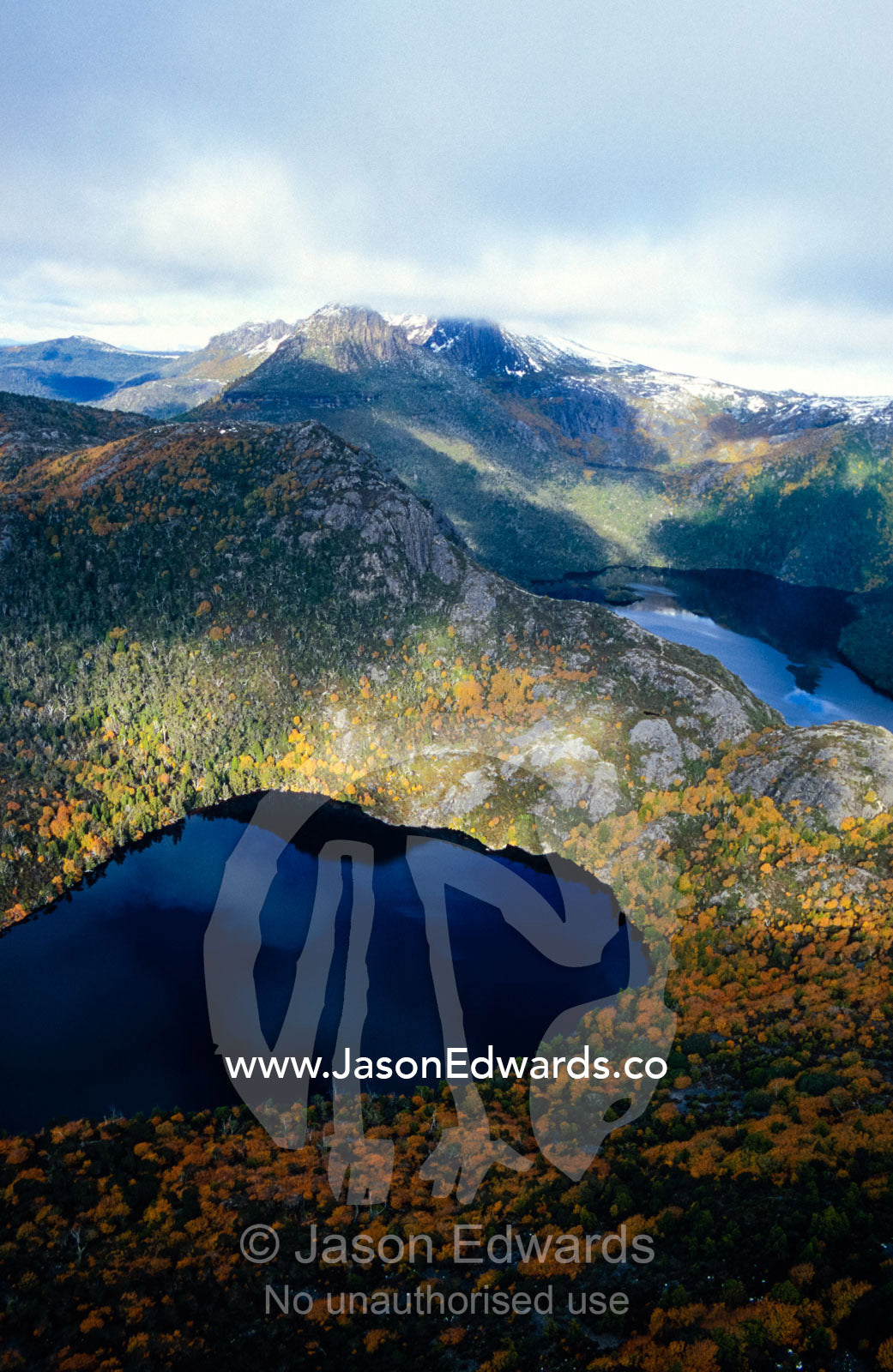 An aerial view of Deciduous Beech, Nothofagus gunnii, and Lake Hanson. Cradle Mountain, Lake St Clair National Park, Tasmania, Australia