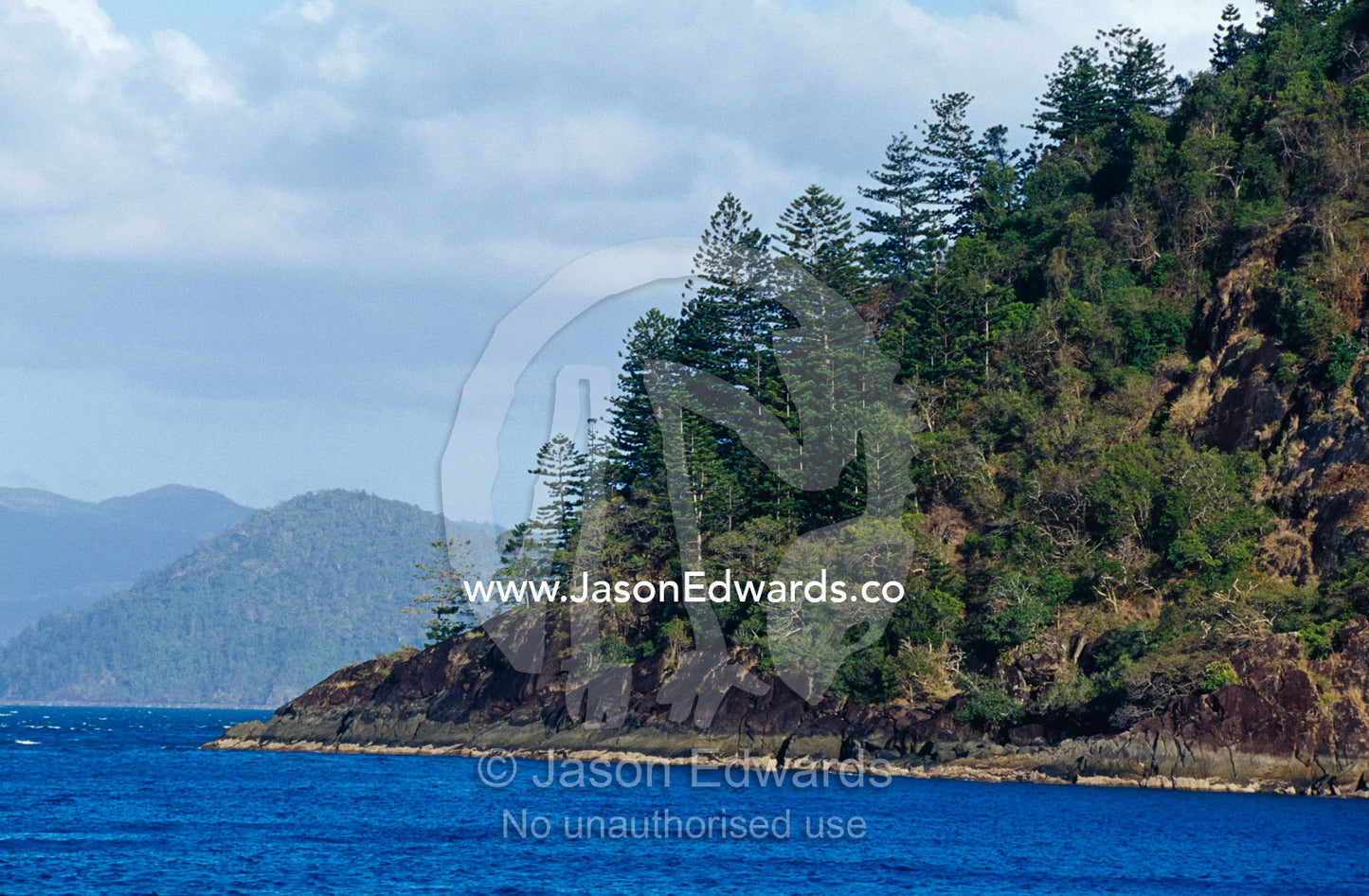 Tropical forest covers an escarpment after fire on South Molle Island. Whitsunday Islands, Queensland, Australia.