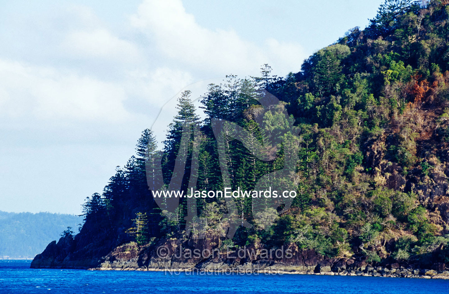 Tropical forest covers an escarpment after fire on South Molle Island. Whitsunday Islands, Queensland, Australia.