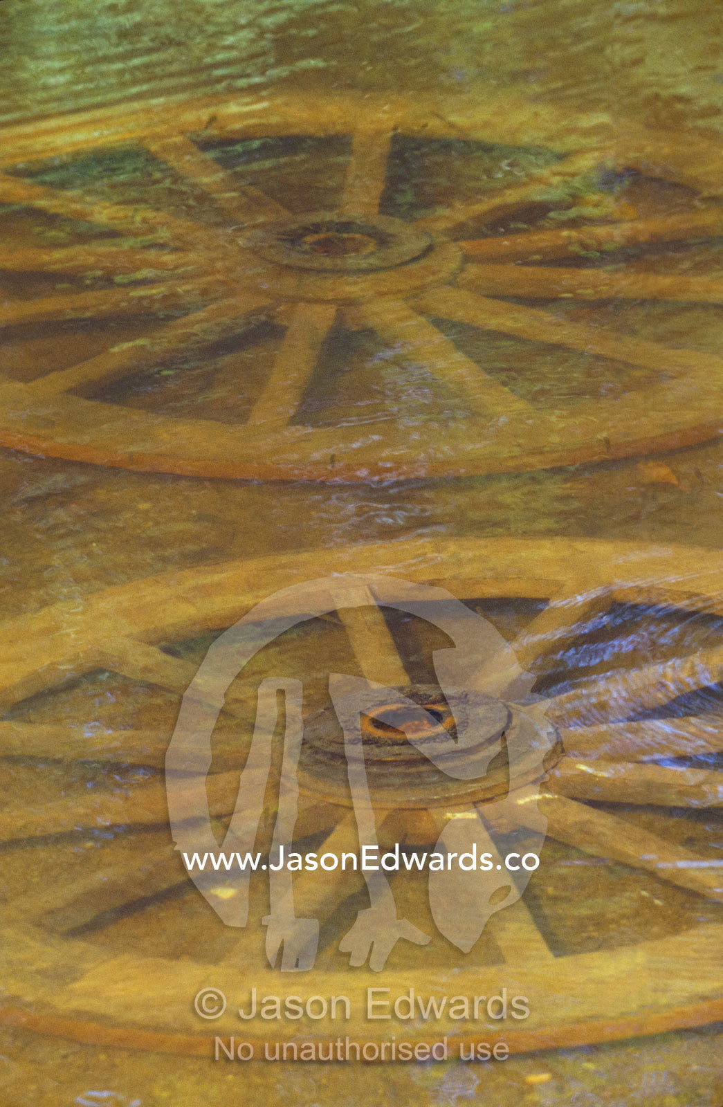 A pair of wagon wheels rest in the mud at the bottom of a wetland. Habarana Tank, Sri Lanka.