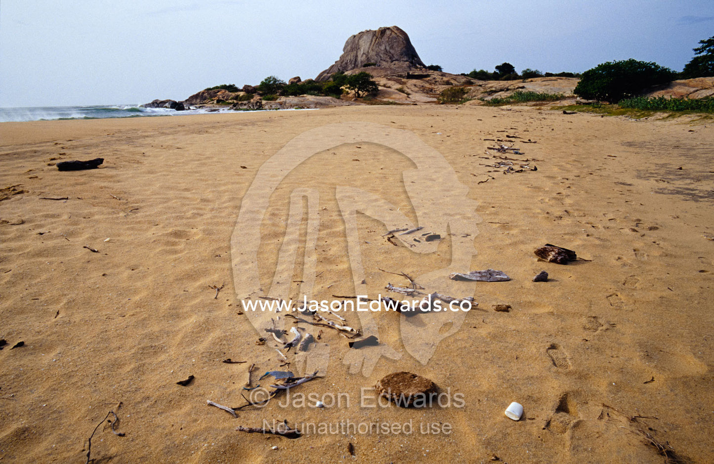 Debris washed onto the beach of a coastal national park. Yala National Park, Sri Lanka.
