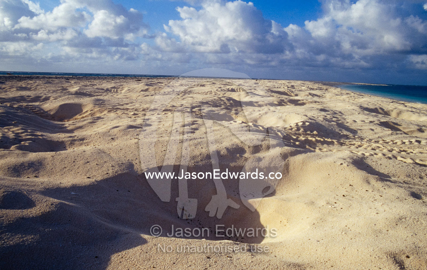 Endangered Sea Turtle nests and tracks on a remote nesting island. Magdelaine Cay, Coral Sea Islands Territory, Australia.
