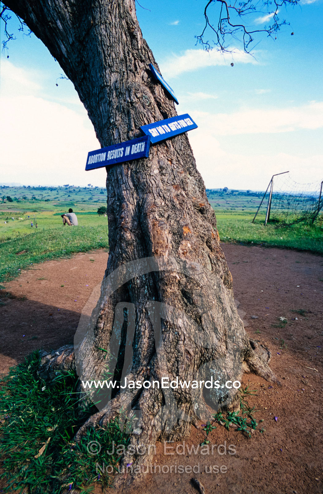HIV AIDS warning graphics attached to trees in a school playground. Tororo Prison School, Tororo District, Uganda.
