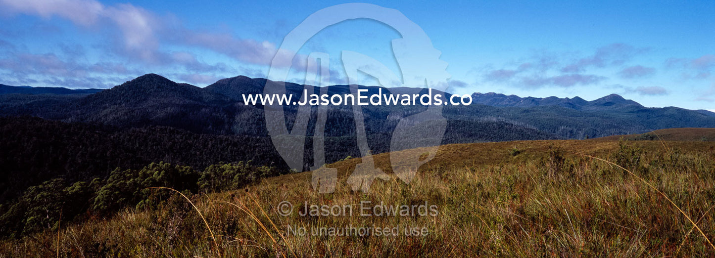Buttongrass Moorland and Tall Wet Eucalypt forested mountain slopes. Tarkine Wilderness Area, Tasmania, Australia.