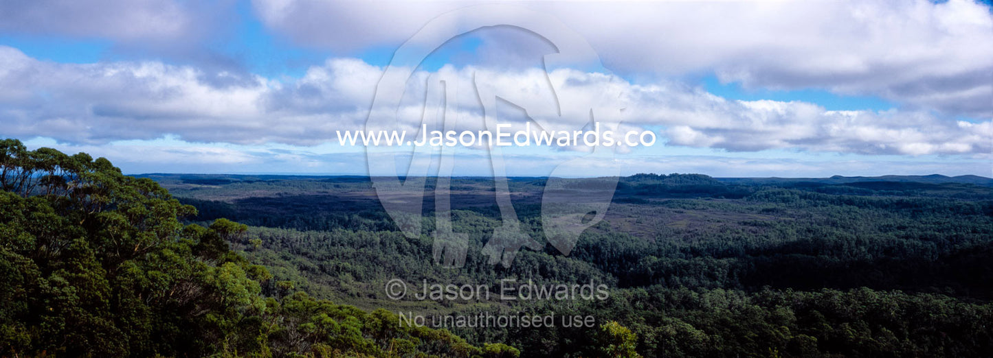 A remote wilderness of mixed forest types cover a vast valley floor. Tarkine Wilderness Area, Tasmania, Australia.