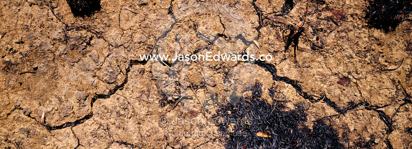 The parched and cracked earth after a fire in the Gulf of Carpentaria Limmen National Park, Northern Territory, Australia.