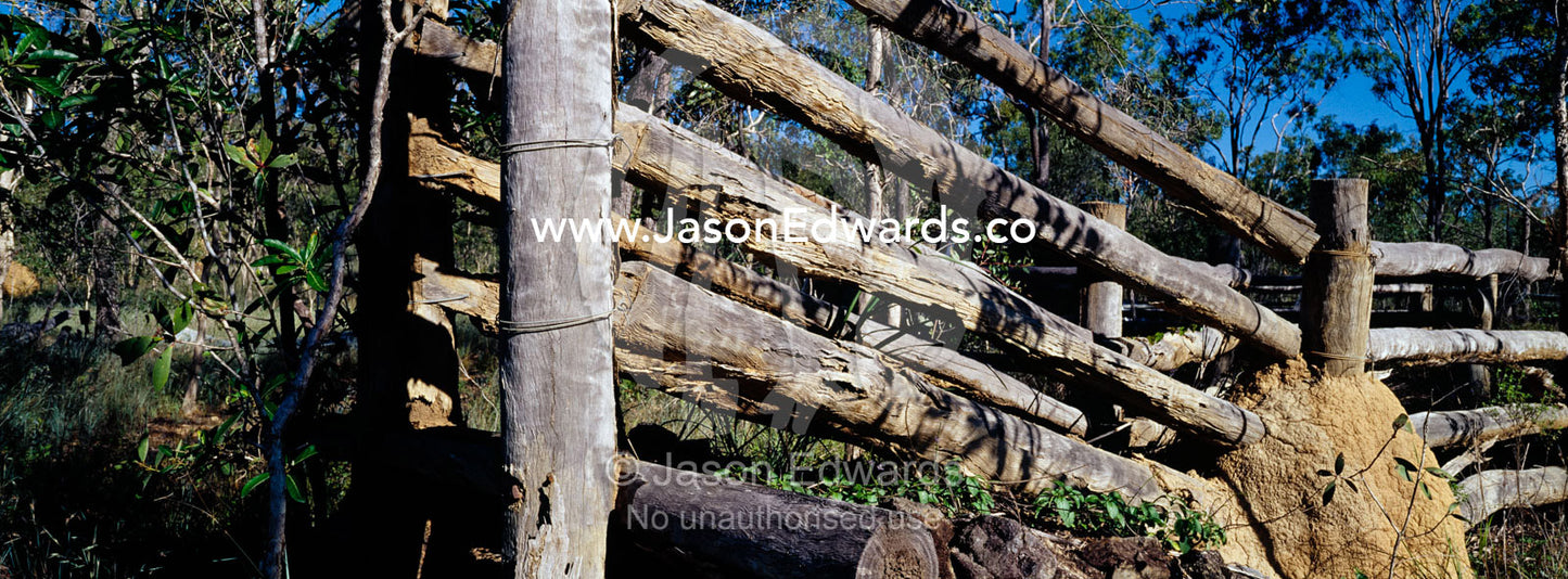 The rotting timbers of a colonial cattle race inside a National Park. Limmen National Park, Northern Territory, Australia.
