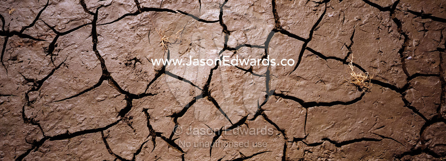 At the height of the dry season mud cracks under the baking sun. Udawalawe National Park, Sri Lanka.