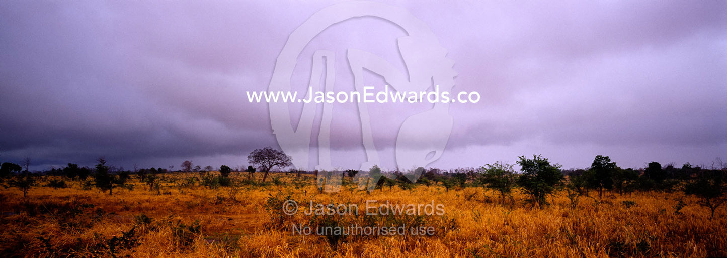 The first rains of the wet season pour down on a parched grassland. Udawalawe National Park, Sri Lanka.
