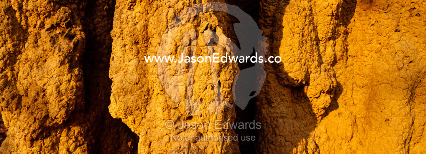 The textured surface of a Termite mound catches the setting sun. Nitmiluk National Park, Katherine Gorge, Northern Territory, Australia.