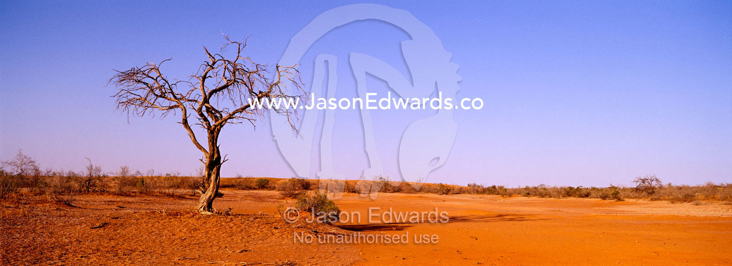 The blistering Outback sun beats down on the red sand dune country. Sturt National Park, New South Wales, Australia.