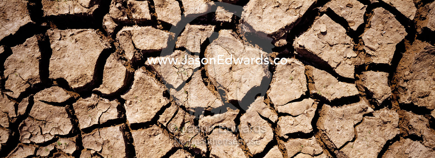 Wetland mud cracks in the baking sun at the height of the dry season. Udawalawe National Park, Sri Lanka.