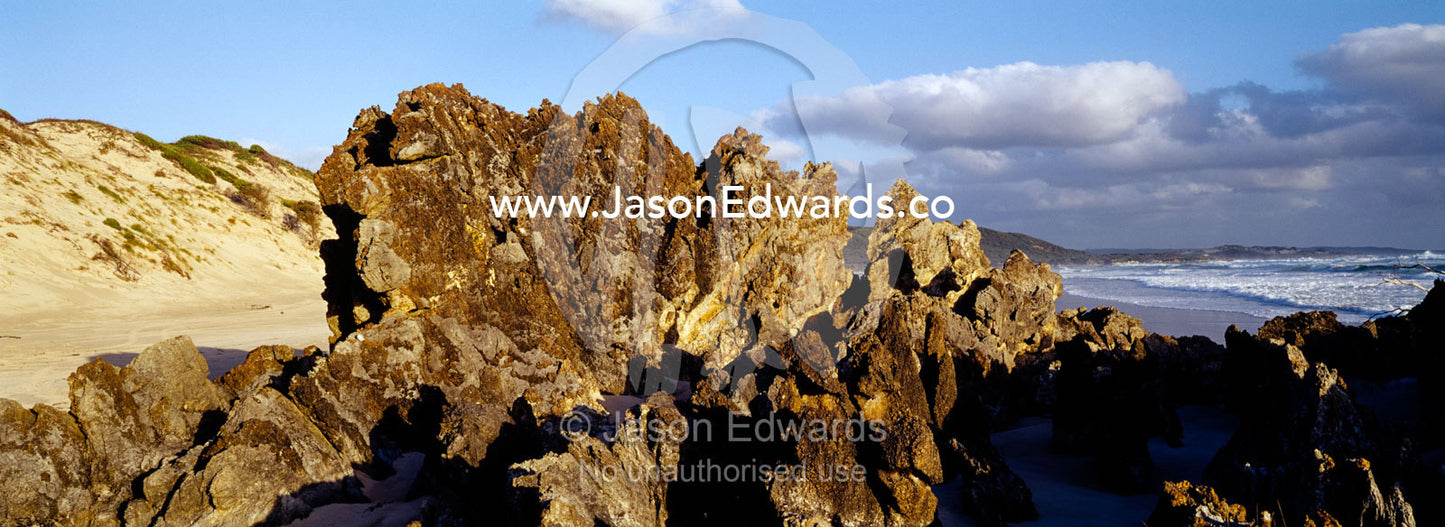 Razor sharp rocks greet the Southern Ocean where it meets Tasmania. South West Conservation Area, Tasmania, Australia.