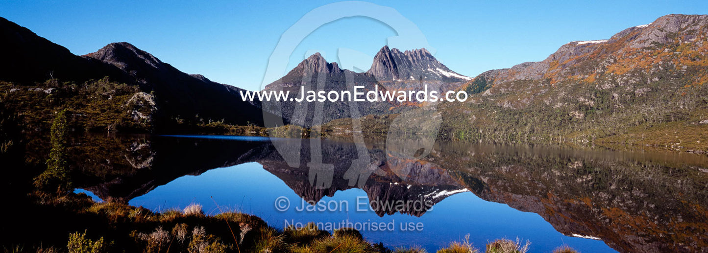 Cradle Mountain's forests of deciduous beech reflected in Dove Lake. Cradle Mountain Lake St Clair National Park, Tasmania, Australia.