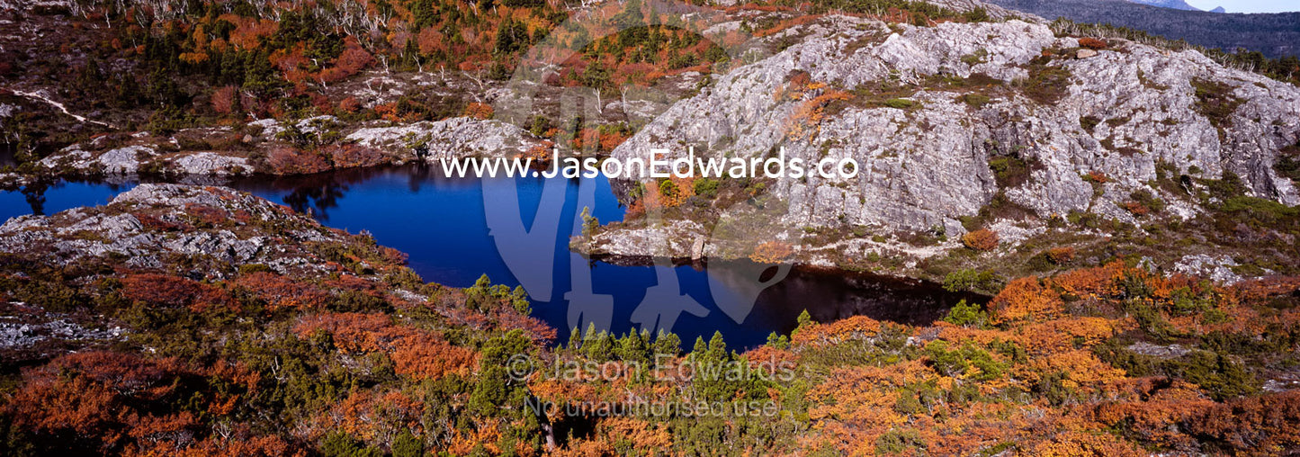 Forests of deciduous beech in fall colors surround the Twisted Lakes. Cradle Mountain Lake St Clair National Park, Tasmania, Australia.