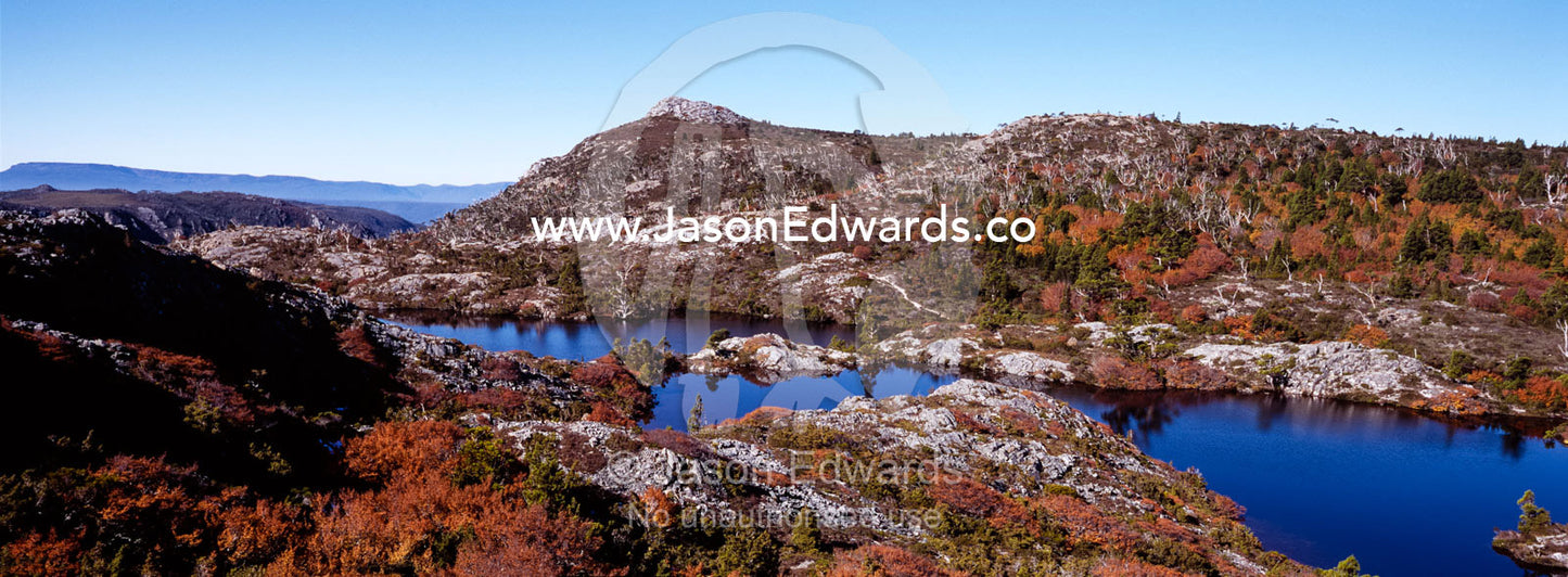Forests of deciduous beech in fall colors surround the Twisted Lakes. Cradle Mountain Lake St Clair National Park, Tasmania, Australia.