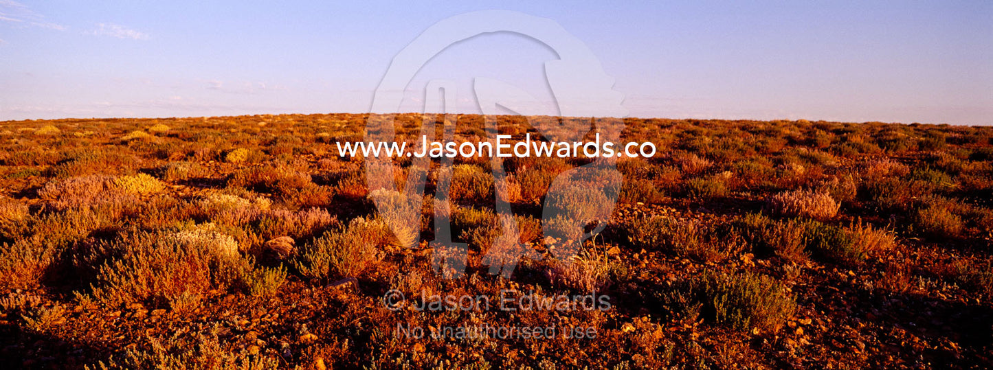 Sunset descends over the scorching Gibber Plains of the open desert. Sturt National Park, New South Wales, Australia.