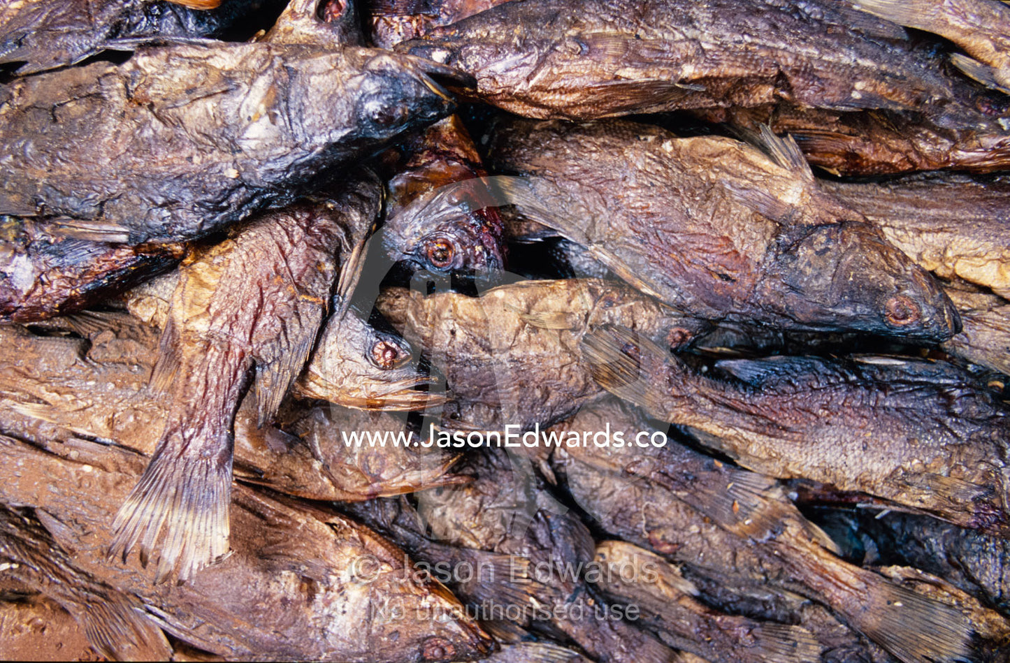 A collection of smoked and dried lake fish in an East African market. Tororo District, Uganda.