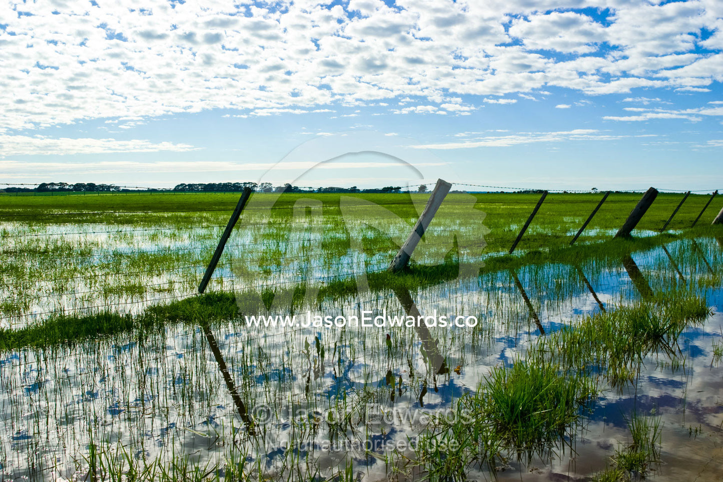 Winter rains flood agricultural fields along rich coastal farmland. near Breamlea, Victoria, Australia.