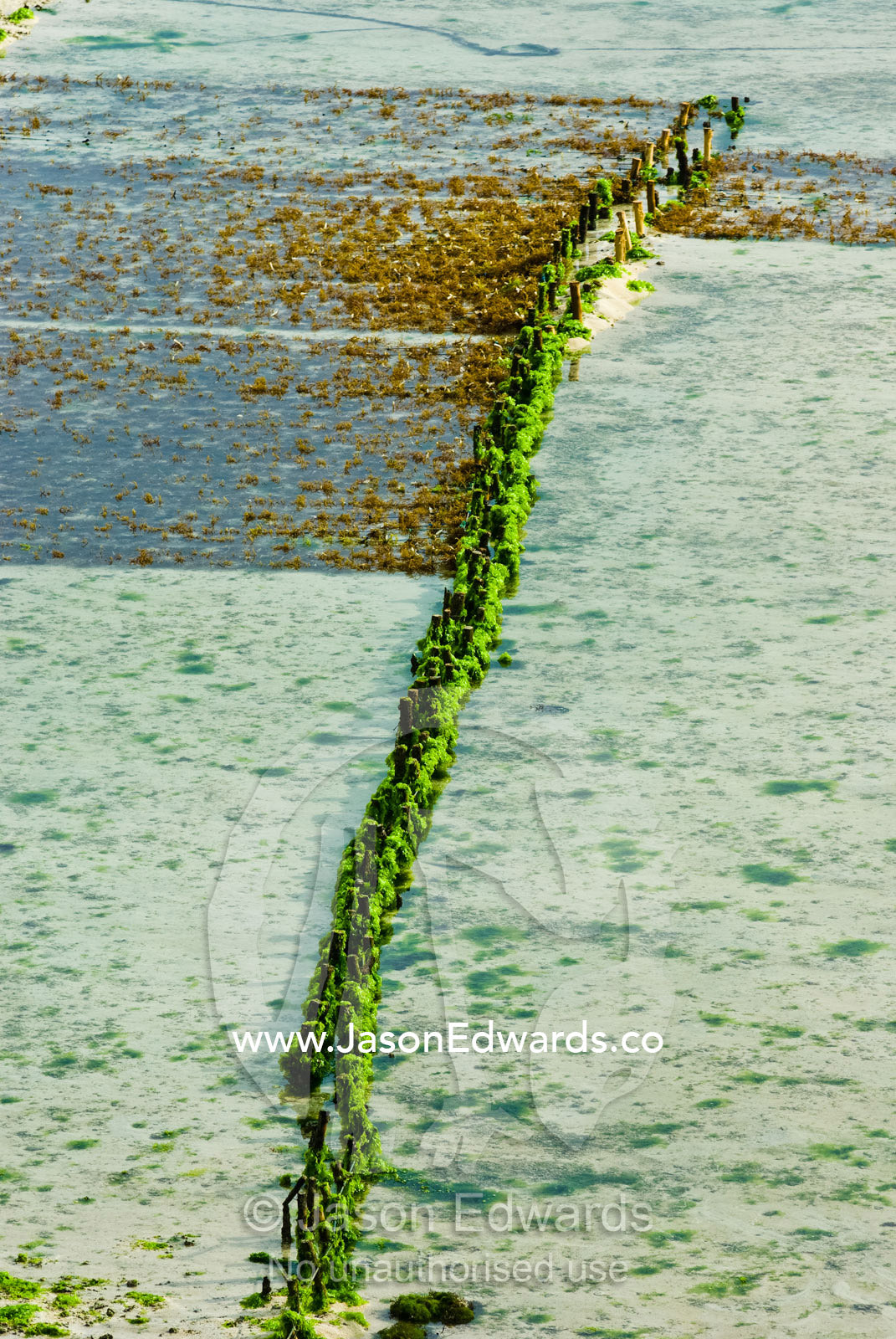 Posts imbedded in the ocean floor mark the boundary of seaweed farms. Nusa Lembongan Island, Bali, Indonesia.