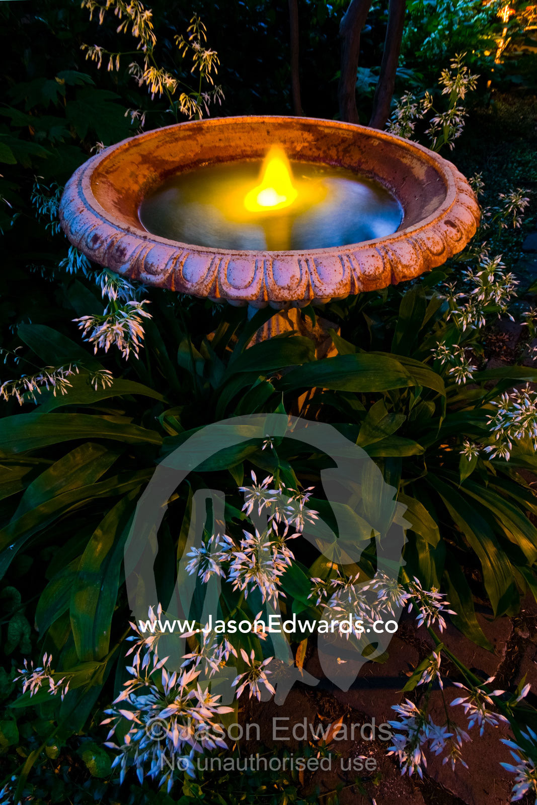An ornamental bird bath resting amongst garden flowers at night. Malvern, Victoria, Australia.