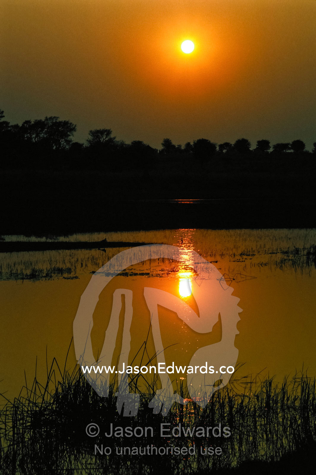 Sunrise reflected in the still waters of a reed-lined swamp. Okavango Delta, Botswana.