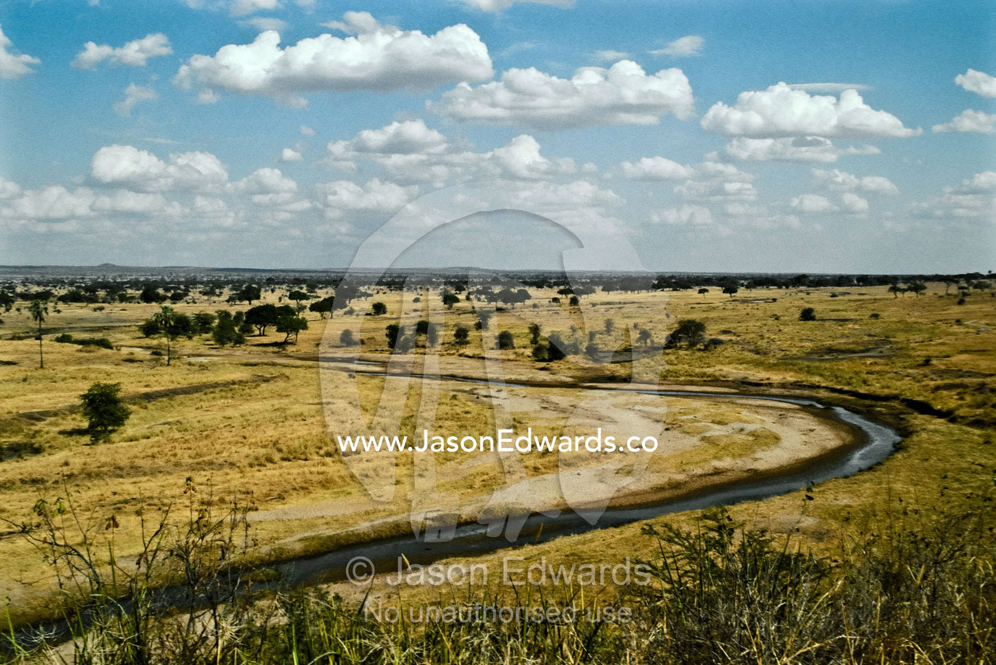 A meandering river curves through a vast plain during the dry season. Tarangiri National Park, Tanzania.