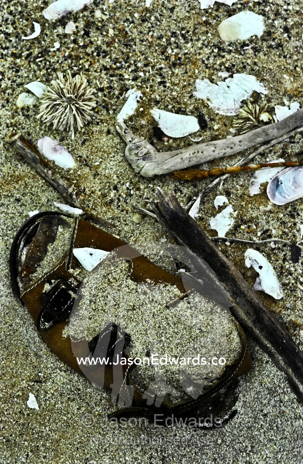 A sandal rests amongst flotsam and jetsam debris washed onto a beach. Skeleton Coast National Park, Namibia.