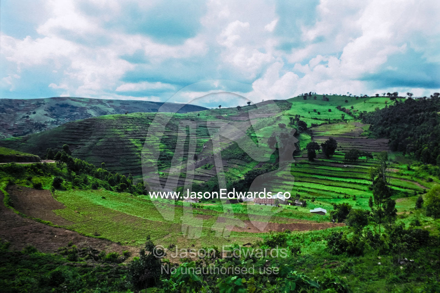 Terraced hillside fields rise on the slopes of extinct volcanoes. Near Kabale, South-western Uganda.