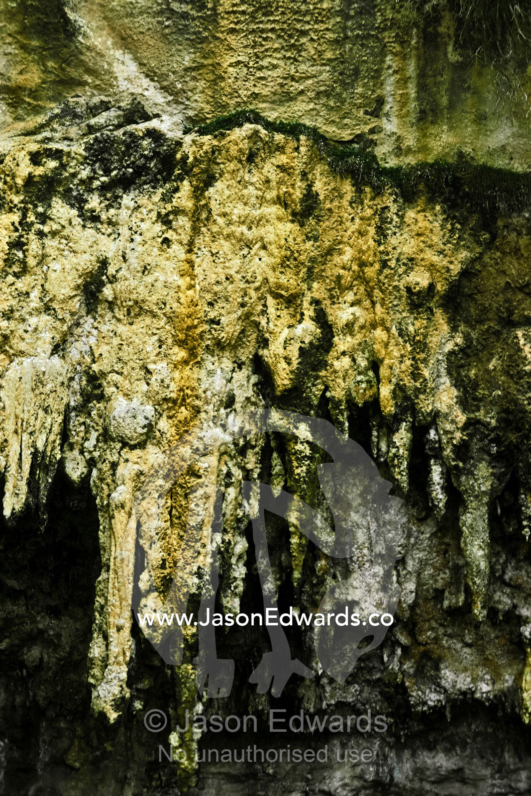 Calcite deposits hang from a limestone cave roof in Loch Ard Gorge. Loch Ard Gorge, Port Campbell National Park, Victoria, Australia.