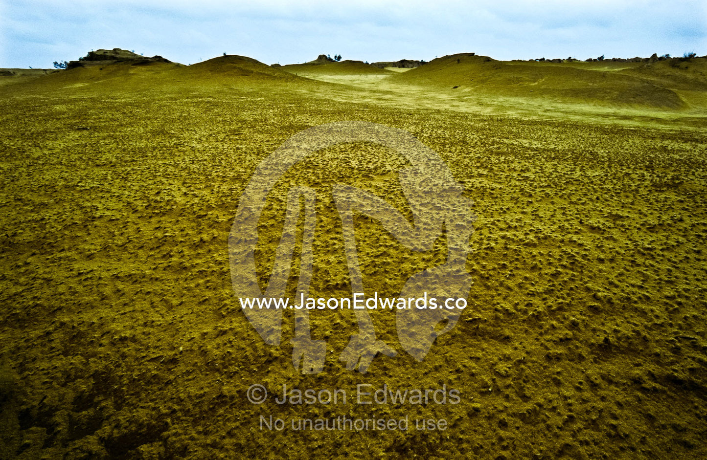 Stippled sand dunes after heavy rains saturated the desert at night. Nambung National Park, Western Australia.