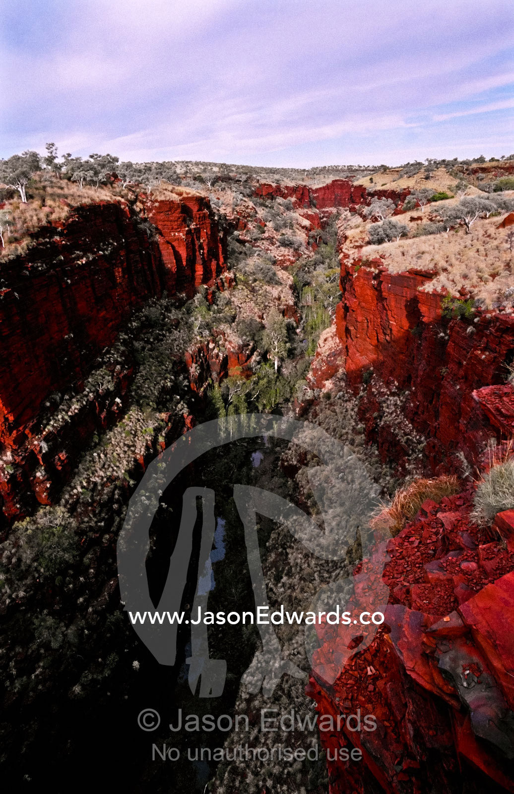 Spinifex Grass lines the walls of a deep red volcanic desert gorge. Hamersley Ranges, Karijini National Park, Western Australia, Australia.